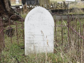 Full-size image