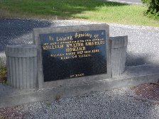 Full-size image