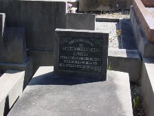 Full-size image