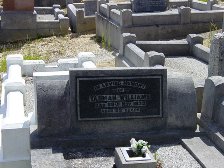 Full-size image