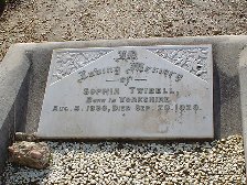 Full-size image