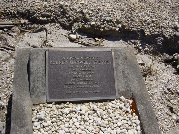 Full-size image