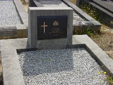 Full-size image