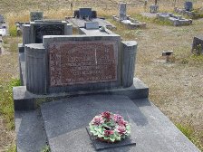 Full-size image
