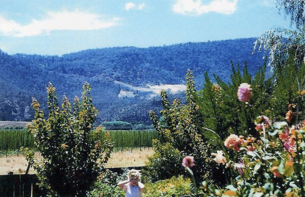 Full-size image