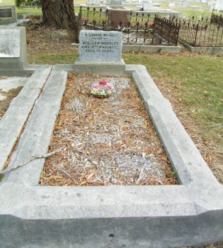 Full-size image