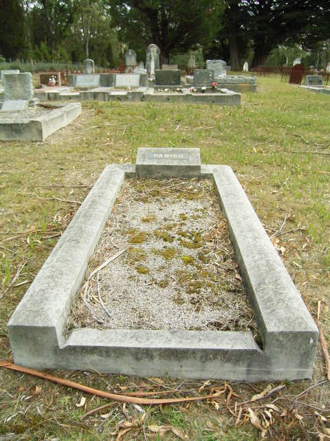 Full-size image
