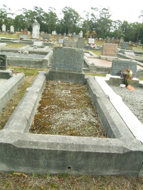 Full-size image
