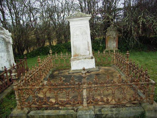Full-size image