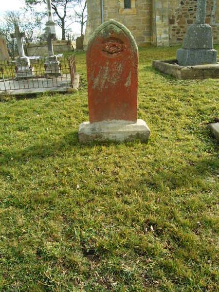 Full-size image