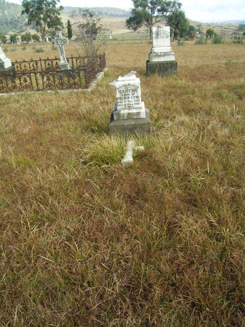 Full-size image