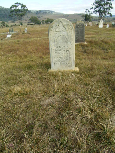 Full-size image