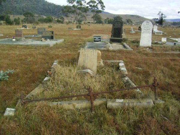 Full-size image