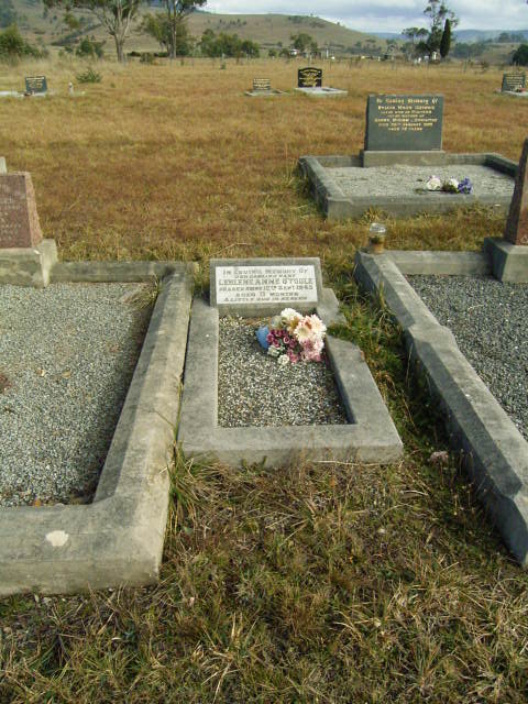 Full-size image