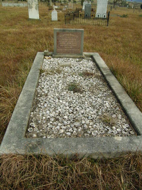 Full-size image