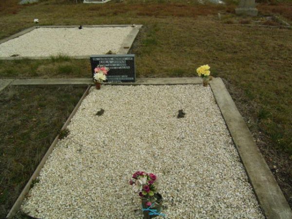 Full-size image
