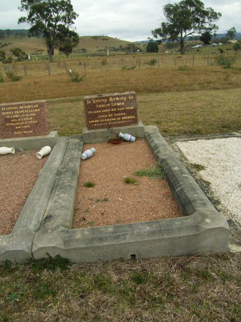 Full-size image