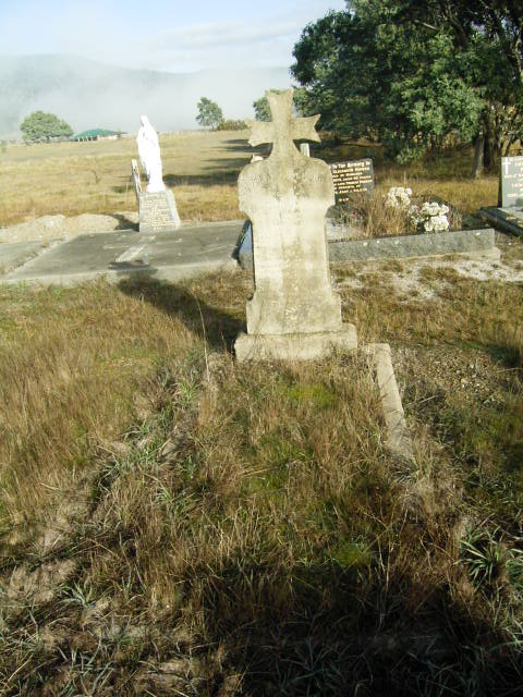 Full-size image