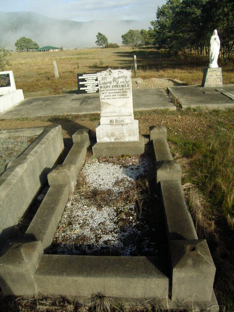 Full-size image