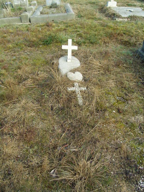 Full-size image