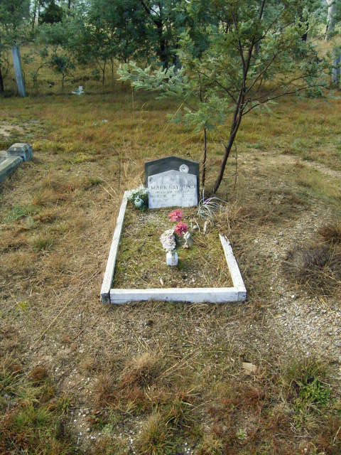 Full-size image