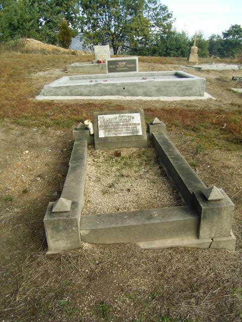 Full-size image