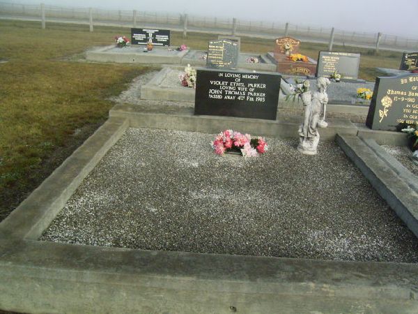 Full-size image