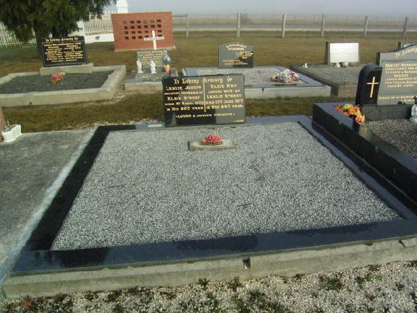 Full-size image