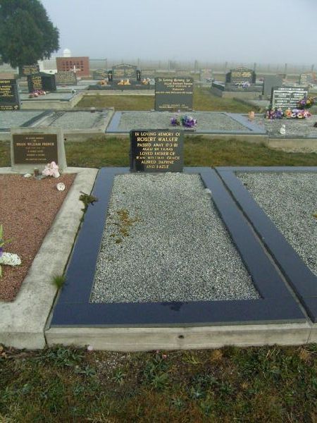 Full-size image
