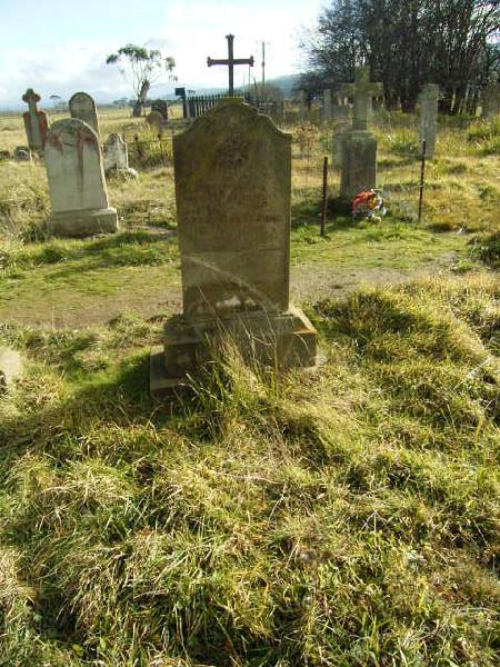 Full-size image