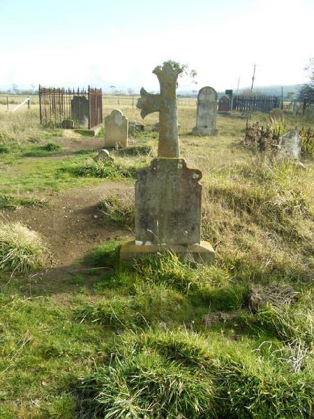 Full-size image
