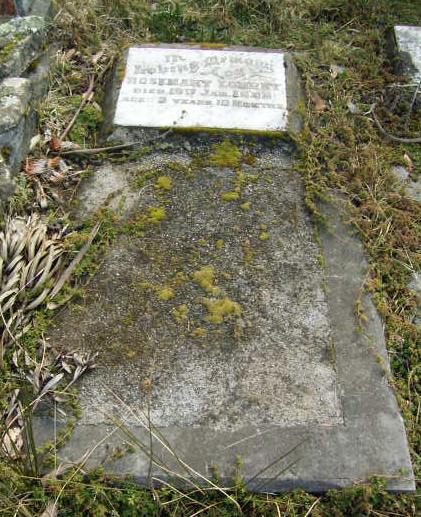 Full-size image