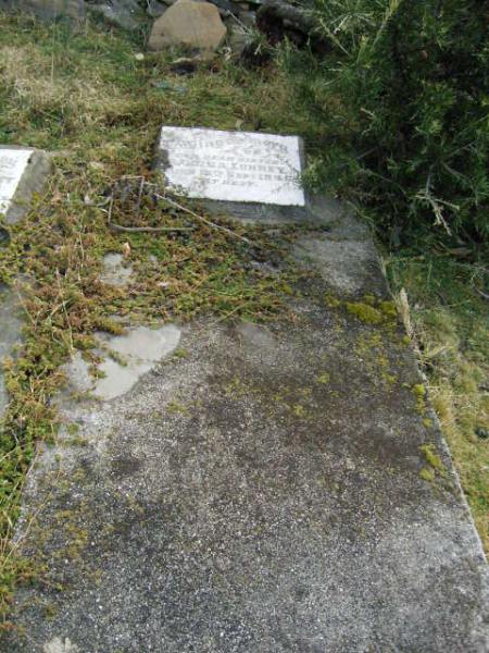 Full-size image