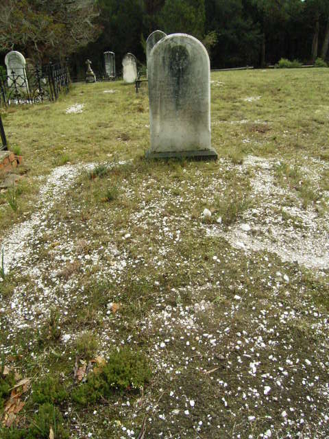 Full-size image