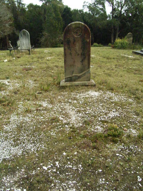 Full-size image