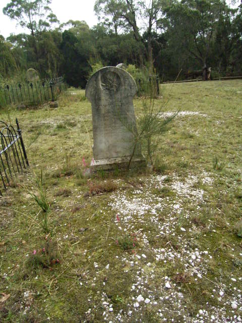Full-size image