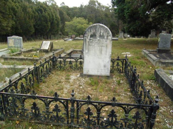 Full-size image
