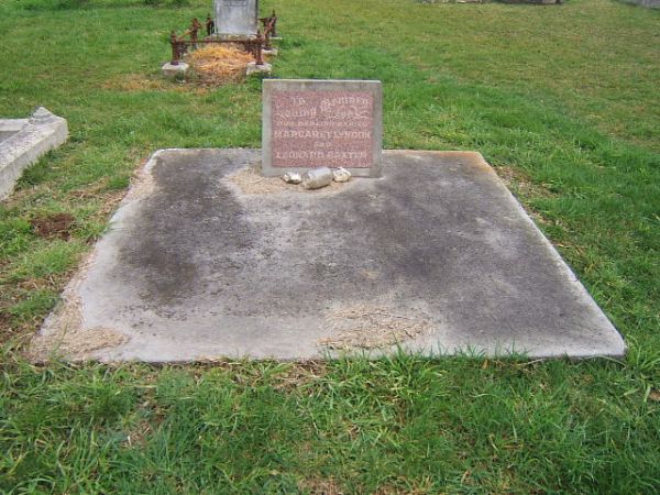 Full-size image