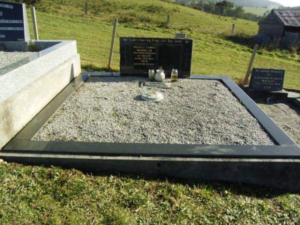 Full-size image