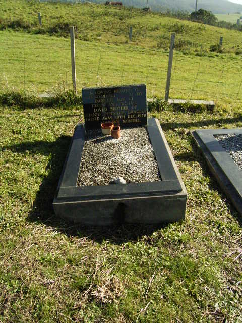 Full-size image