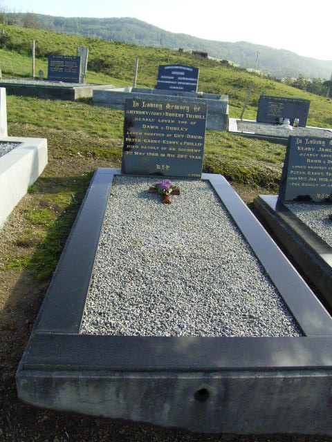 Full-size image