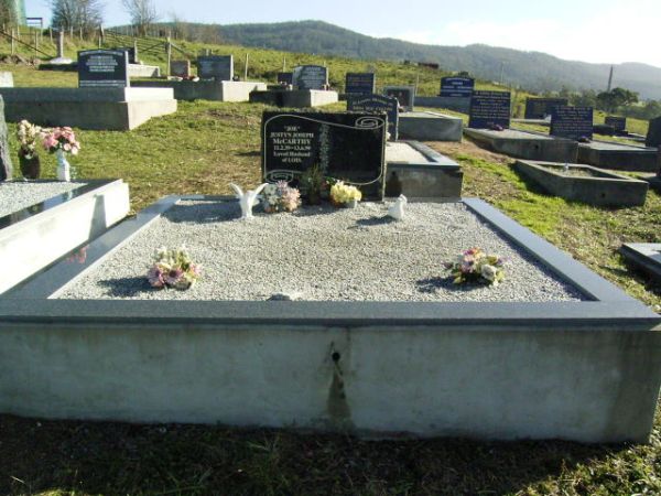 Full-size image