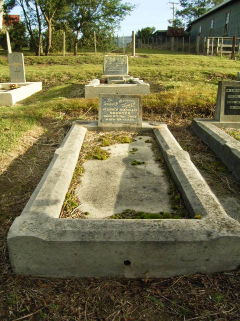 Full-size image