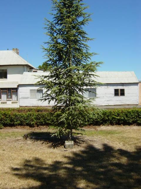 Full-size image