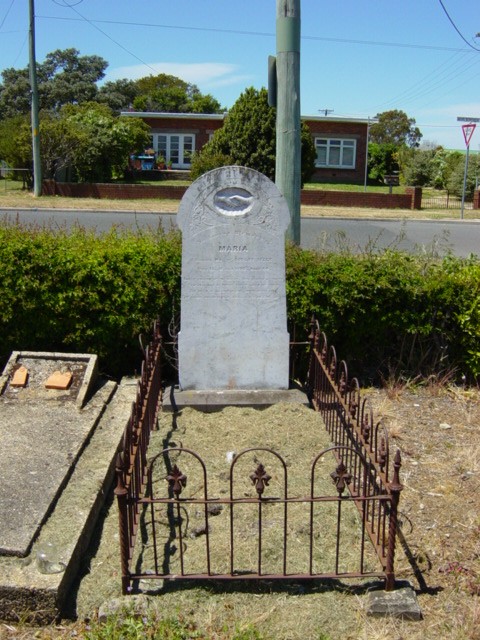 Full-size image
