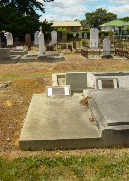 Full-size image