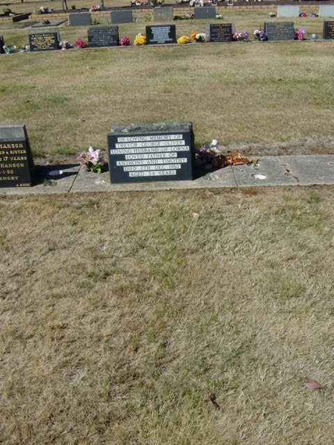 Full-size image