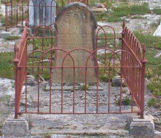 Full-size image