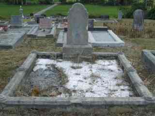 Full-size image