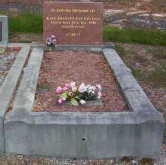 Full-size image